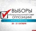 Навальный, Быков и Каспаров стали победителями выборов в КС оппозиции