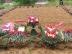 В Невельском районе перезахоронят останки советских солдат