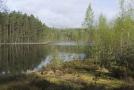 Лев Шлосберг об угрозе возможного изменения статуса земель в Национальном парке «Себежский»